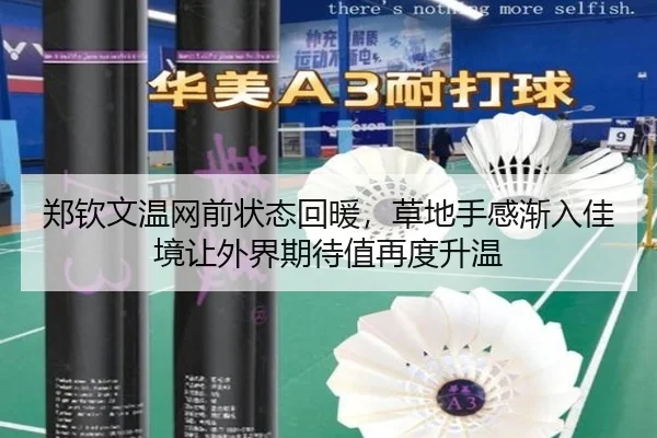 郑钦文温网前状态回暖，草地手感渐入佳境让外界期待值再度升温